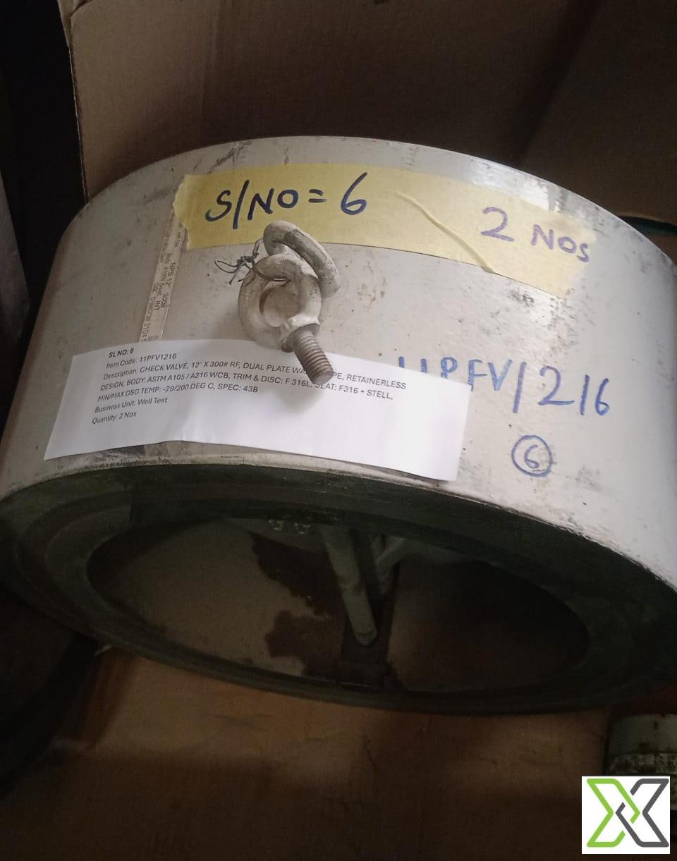 12" 300# RF Dual Plate Wafer Check Valve (A105/WCB Body, 316L Trim)